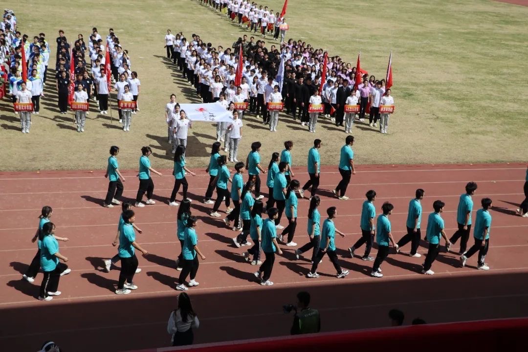 d9b9d3408f954ee5b60d3468098f42ca.jpg